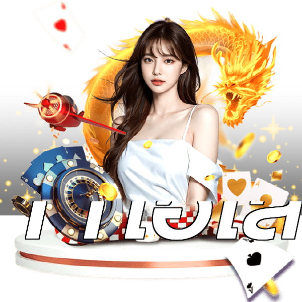11ไฮโล